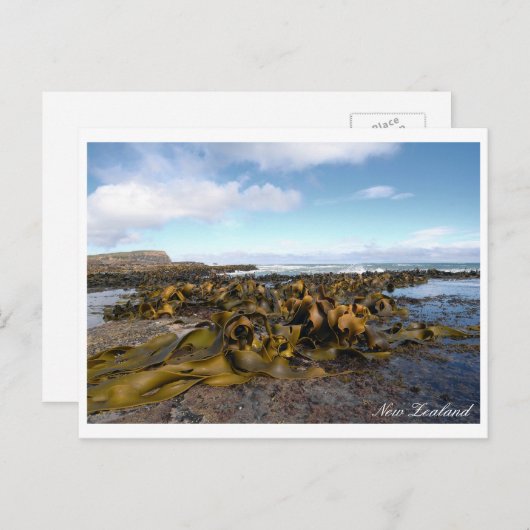 Kelp Coast, Rocky Scenery, Neuseeland Postkarte (Vorne/Hinten)