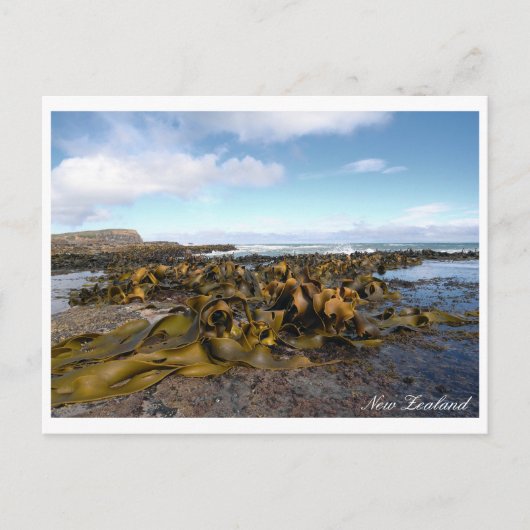 Kelp Coast, Rocky Scenery, Neuseeland Postkarte (Vorderseite)