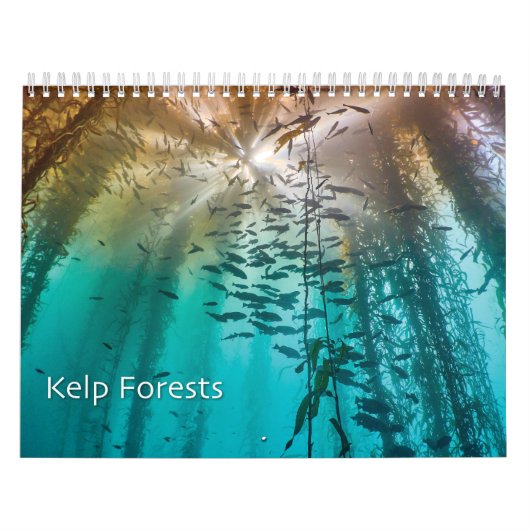 Kelp Forest Underwater Foto Calendar - Ocean Kalender (Titelbild)