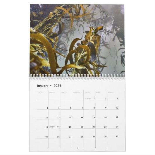 Kelp Forest Underwater Foto Calendar - Ocean Kalender (Jan 2026)