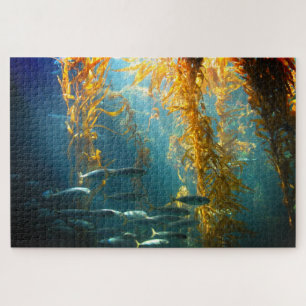 Kelp Puzzle