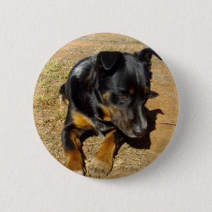 Kelpie_Farm_Life, Button