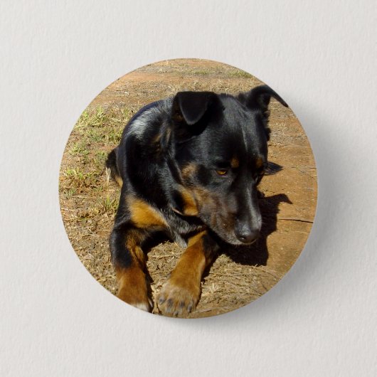 Kelpie_Farm_Life, Button (Vorderseite)