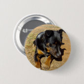 Kelpie_Farm_Life, Button (Vorne & Hinten)