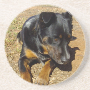 Kelpie_Farm_Life, Getränkeuntersetzer