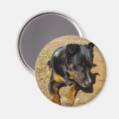 Kelpie_Farm_Life, Magnet (Vorderseite/Rückseite)