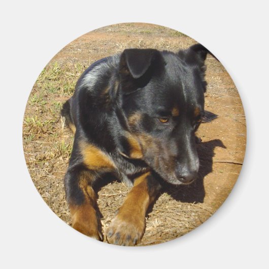 Kelpie_Farm_Life, Magnet (Vorne)