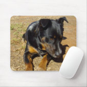 Kelpie_Farm_Life, Mousepad (Mit Mouse)