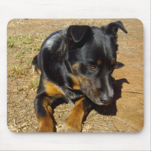 Kelpie_Farm_Life, Mousepad