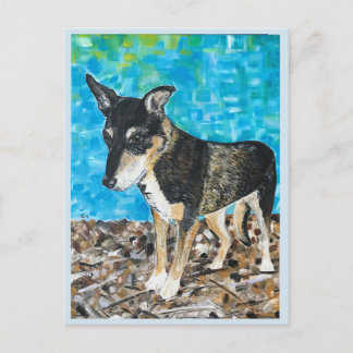 Kelpie Hund Postkarte