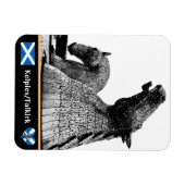 Kelpies & Statues in Falkirk / Scotland Art Magnet (Horizontal)