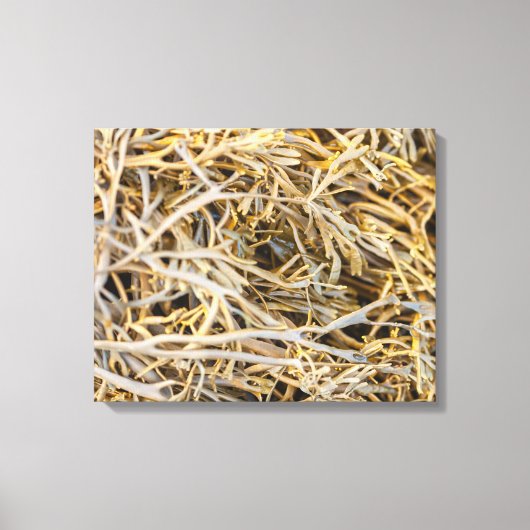 Kelps Leinwanddruck (Vorderseite)