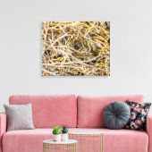 Kelps Leinwanddruck (Insitu (Wohnzimmer))