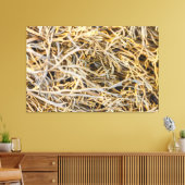 Kelps Leinwanddruck (Insitu (Wohnzimmer))