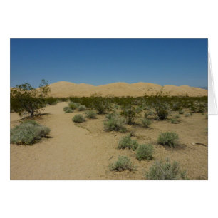 Kelso-Dünen im Mojave-Nationalpark