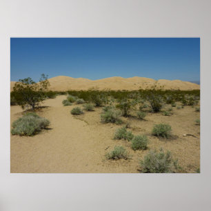 Kelso-Dünen im Mojave-Nationalpark Poster