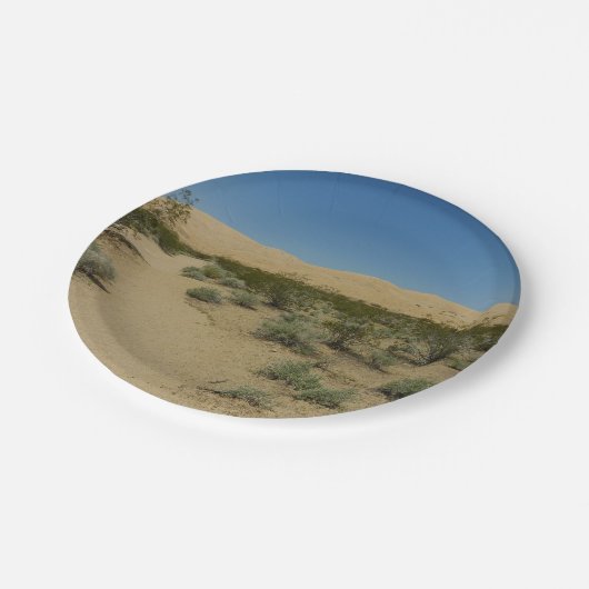 Kelso Dunes im Mojave Nationalpark Pappteller (Schrägansicht)