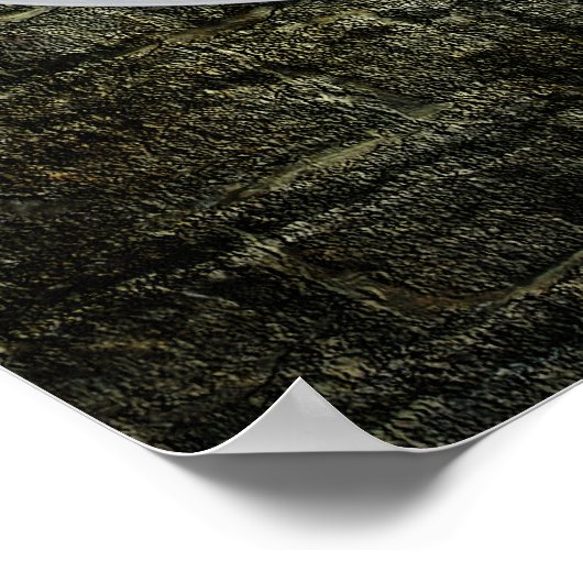 Keltenschild Poster (Ecke)