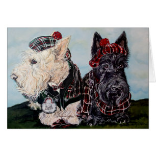 Keltische schottische Terrier