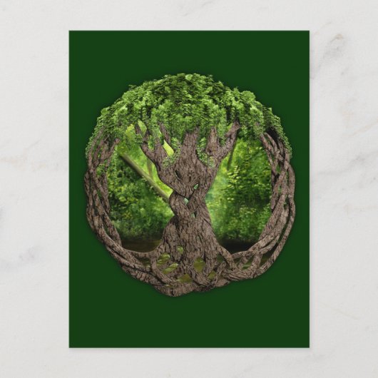 Keltischer Baum Postkarte (Vorderseite)
