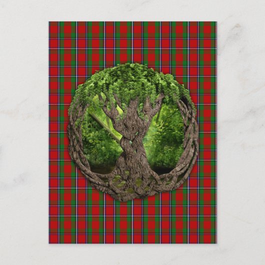 Keltischer Baum und Clan Sinclair Tartan Postkarte (Vorderseite)