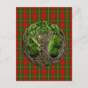 Keltischer Lebensbaum und Clan MacGregor Tartan Postkarte