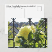 Kelvin Floodlight Dahlia Postkarte (Vorne/Hinten)