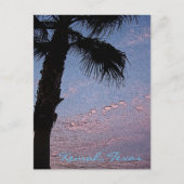 Kemah Palm Sunset Postcard - kundenspezifisch Postkarte (Vorderseite)