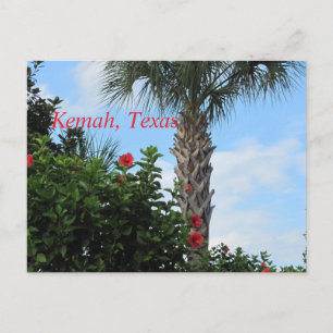 Kemah, Texas-Tropical Palm Postcard Postkarte