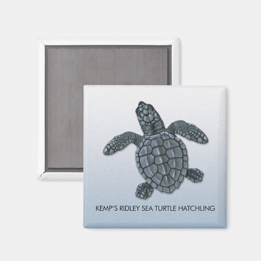 Kemps Ridley Sea Turtle Hatchling Magnet (Vorderseite/Rückseite)