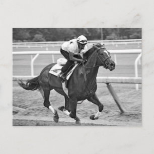 Ken McPeek Workouts bei Saratoga Postkarte