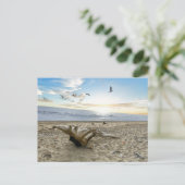 Kenai Beach Alaska - Postcard Postkarte (Stehend Vorderseite)