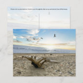 Kenai Beach Alaska - Postcard Postkarte (Vorne/Hinten)