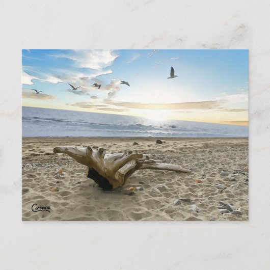 Kenai Beach Alaska - Postcard Postkarte (Vorderseite)