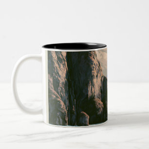 Kenai Fjords National Park in Alaska Szenische Kun Zweifarbige Tasse