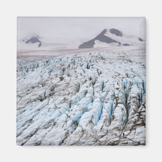 Kenai Fjords Nationalpark Magnet (Vorne)
