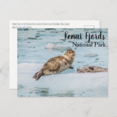 Kenai Fjords Nationalpark Postkarte (Vorne/Hinten)