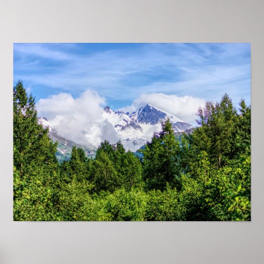 Kenai Fjords Snowy Mountains Poster (Vorne)