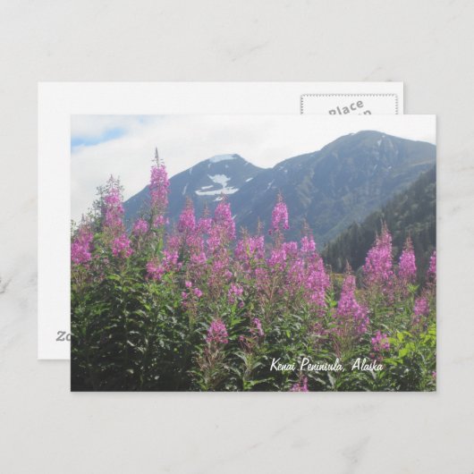 Kenai Halbinsel, Alaska Postkarte (Vorne/Hinten)