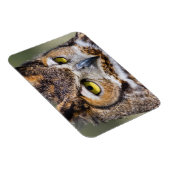 Kendall Landkreis, Texas. Große Hornschale Magnet (Rechte Seite)