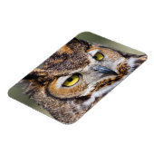 Kendall Landkreis, Texas. Große Hornschale Magnet (Linke Seite)