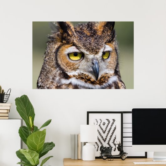 Kendall Landkreis, Texas. Große Hornschale Poster (Heimbüro)