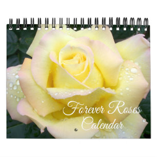 Kenderkalender mit Rosen in Kleinformat Kalender