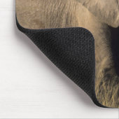 Kenia: Amboseli, männlicher afrikanischer Elefant Mousepad (Ecke)