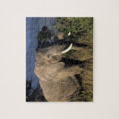 Kenia: Amboseli, männlicher afrikanischer Elefant Puzzle (Vertikal)