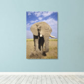 Kenia: Amboseli National Park, Elefantenmännchen Leinwanddruck (Insitu (Holzboden))