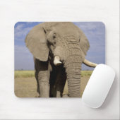 Kenia: Amboseli National Park, Elefantenmännchen Mousepad (Mit Mouse)