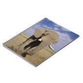 Kenia: Amboseli National Park, Elefantenmännchen Notizblock (Linke Seite)