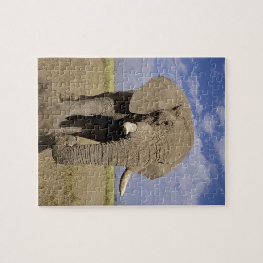 Kenia: Amboseli National Park, Elefantenmännchen Puzzle (Horizontal)