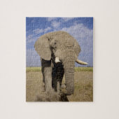 Kenia: Amboseli National Park, Elefantenmännchen Puzzle (Vertikal)